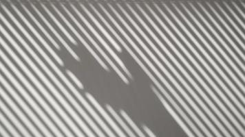 primer plano vertical, sombra en la pared de las persianas, silueta de una mano empujando las persianas video