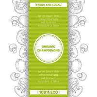 champiñones orgánicos. setas de plantilla de embalaje. ilustración botánica gráfica vintage. ideal para menú, etiqueta, embalaje de productos. vector