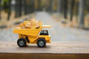 The concept of seasonal harvesting of autumn fallen leaves is depicted in the form of a toy yellow truck loaded with leaves against the background of the autumn park photo