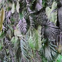 fondo de hojas verdes tropicales, helecho, palma y hoja de monstera deliciosa en la pared foto