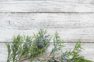 ramitas de thuja sobre fondo de madera con espacio de copia foto