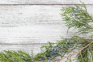 ramitas de thuja sobre fondo de madera con espacio de copia foto