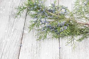 Thuja twigs on wooden background with copy space photo