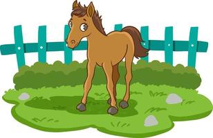 horse and foal cartoon vector