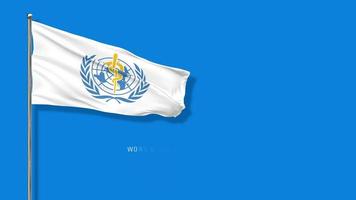 WHO Flag, World Health Organization Flag Waving in The Wind 3D Rendering, Chroma Key Green Screen, Luma Matte Selection video