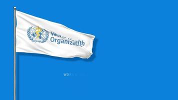 WHO Flag, World Health Organization Flag Waving in The Wind 3D Rendering, Chroma Key Green Screen, Luma Matte Selection video