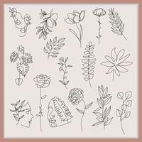 Floral and leaf line art design vector