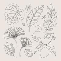 Floral and leaf line art design vector