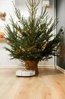 Smart home. Robot vacuum cleaner performs automatic cleaning. Cleans the parquet from Christmas tree needles after the new year. cleans near the Christmas tree after the holidays. photo