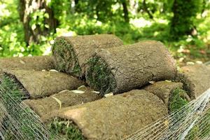 Closeup of carpet grass rugs outdoors with green and brown pattern. Lawn of green grass and soil is rolled into rolls, the turf in a stack is ready for greening. photo