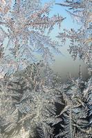 Snowflakes frost rime macro on window glass pane photo