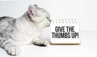 give the thumbs up Text on notebook with grey cat photo