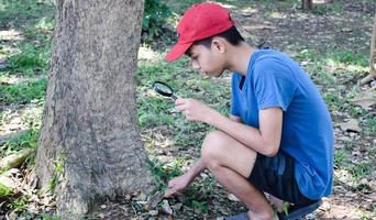 asian boys're reading birds details and going to use binoculars to watch birds on the trees during summer camp, idea for learning creatures and wildlife animals outside the classroom. photo