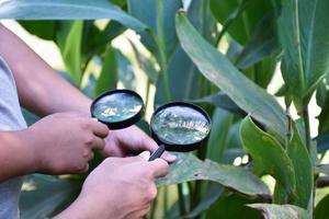 Two small black magnifying glasses holding in hands and were used during the summer camp to study microorganisms in plants and plants diseases. photo