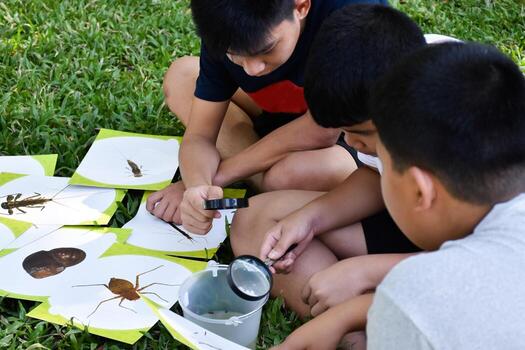Students are experimenting and measuring the pH of water or the acidity and alkalinity of water to determine whether it is suitable for living organisms or can it be consumed by using indicator paper. photo