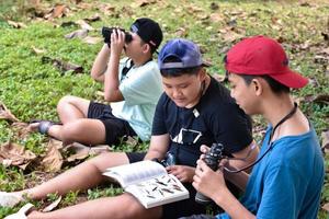 Three asian boys're reading birds details and going to use binoculars to watch birds on the trees during summer camp, idea for learning creatures and wildlife animals outside the classroom. photo