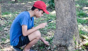 asian boys're reading birds details and going to use binoculars to watch birds on the trees during summer camp, idea for learning creatures and wildlife animals outside the classroom. photo