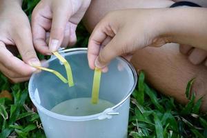 Students are experimenting and measuring the pH of water or the acidity and alkalinity of water to determine whether it is suitable for living organisms or can it be consumed by using indicator paper. photo