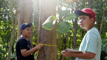 Three asian boys're reading birds details and going to use binoculars to watch birds on the trees during summer camp, idea for learning creatures and wildlife animals outside the classroom. photo