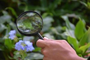 Two small black magnifying glasses holding in hands and were used during the summer camp to study microorganisms in plants and plants diseases. photo