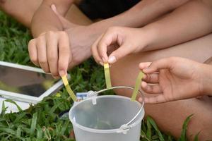 Students are experimenting and measuring the pH of water or the acidity and alkalinity of water to determine whether it is suitable for living organisms or can it be consumed by using indicator paper. photo