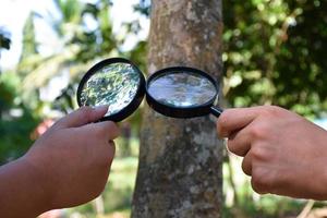 Two small black magnifying glasses holding in hands and were used during the summer camp to study microorganisms in plants and plants diseases. photo