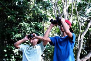 Southeast Asian boys are using binoculars to observe birds in tropical forest, idea for learning creatures and wildlife animals outside the classroom. photo