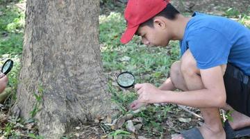 niño asiático sosteniendo una lupa y mirando a las pequeñas criaturas debajo del árbol para estudiar ecosistemas terrestres, ecosistema forestal para explorar las criaturas que viven debajo de los árboles, enfoque suave. foto