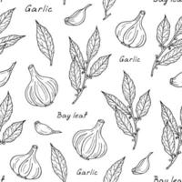 Seamless pattern with cooking herbs and spices. Vector culinary illustration isolated on white background. Good for spice packaging, menu design and vegetable shop labels