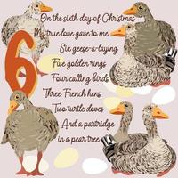 The twelve days of Christmas. Sixth day. Six geese-a-laying. vector