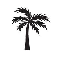 Vector palm silhouette