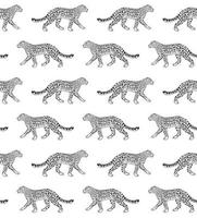 Seamless pattern of leopard vector