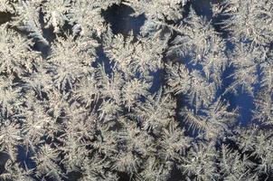 Snowflakes frost rime macro on window glass pane