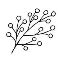 Hand drawn winter branch with berries clipart. Christmas doodle. Single design element vector