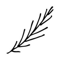 Hand drawn spruce branch clipart. Twig of coniferous tree doodle. Christmas and winter design element vector