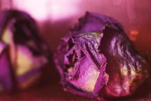 rosa roja seca con gotas de agua sobre un fondo rojo. tarjeta con flor y bokeh foto