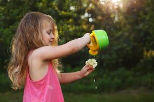 Cute little girl watering flowers in the summer garden photo