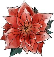 New Year's red flower. Watercolor Christmas vector drawing. For New Year and Christmas illustrations.