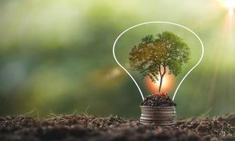 alternative energy, Renewable Energy, saving energy and finance, energy stock investment, tree growing up on stack coin and lightbulb on soil. electricity energy source for eco environment. photo
