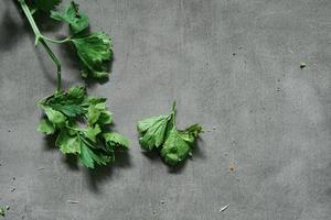 hojas de apio frescas listas para cocinar sobre fondo de hormigón foto