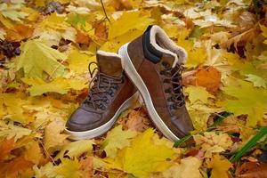 A pair of warm men's leather boots stand on fallen leaves. photo