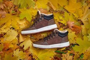 Stylish, warm leather men's shoes on fallen leaves. photo