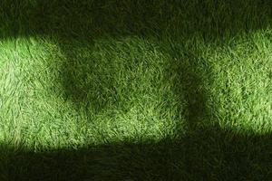 Green grass field  Suitable for wallpaper and background. photo