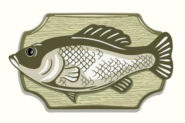 Fish stuffed fishing trophy. Interior decor. Sketch style in color. Isolated on white background. Vector.