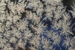 Snowflakes frost rime macro on window glass pane photo