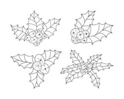 Set of hand drawn various Christmas plants. Doodle mistletoe for design vector