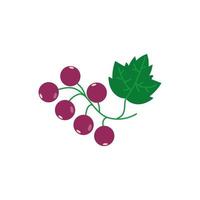 Ripe black currant isolated on white background. vector