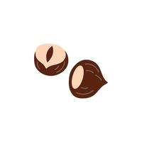 Hazelnut isolated on white background. vector