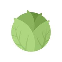 Cooking cabbage icon flat isolated vector