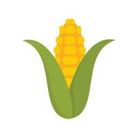 Corn plant icon flat isolated vector